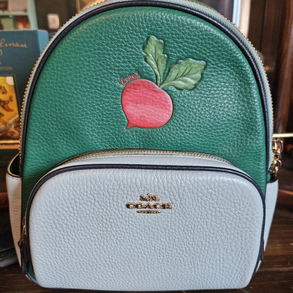 Coach Small Back Pack